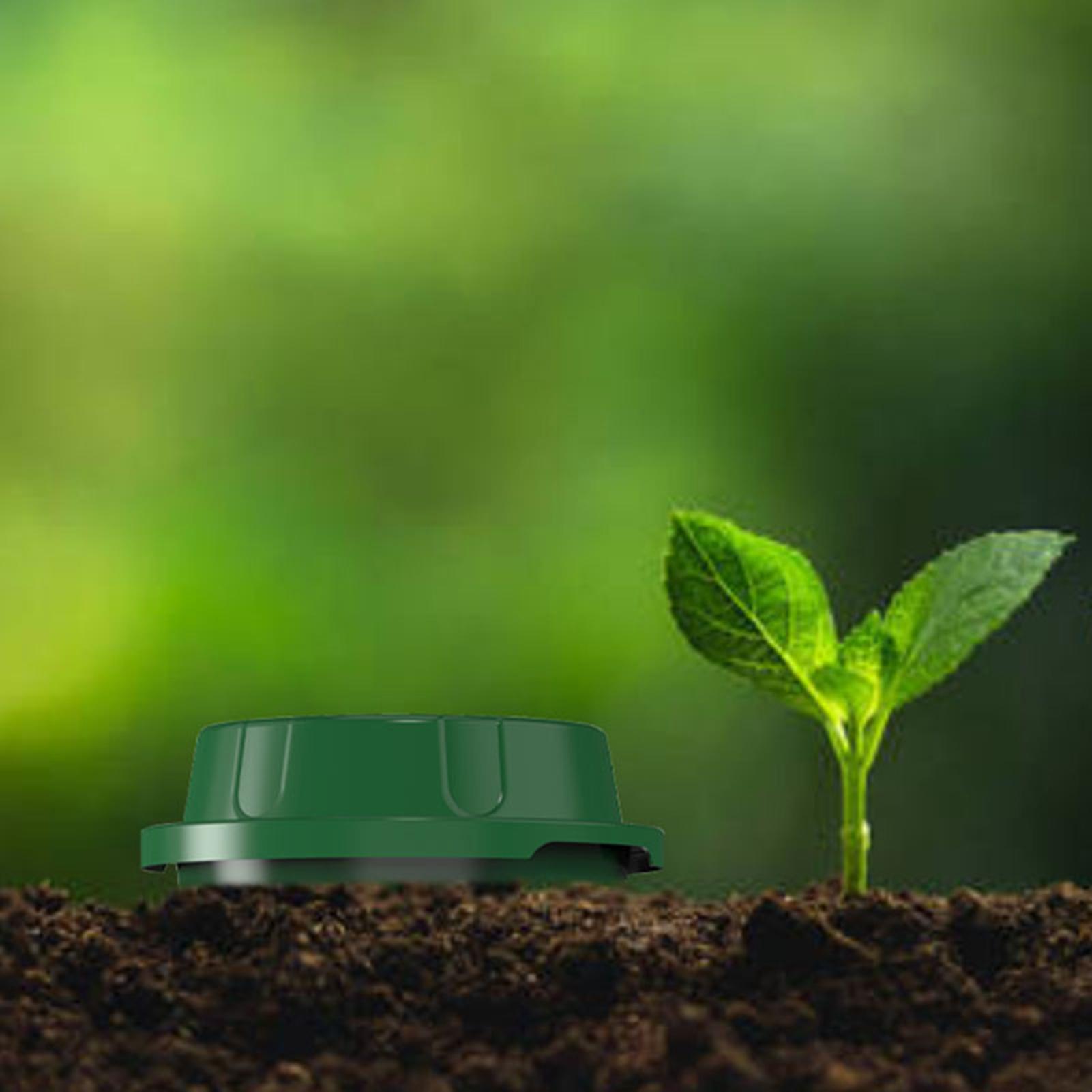 Komposter cacing tanah dalam t - Compost Bin ulasan dan harga